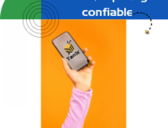 Assessment Tarrix®