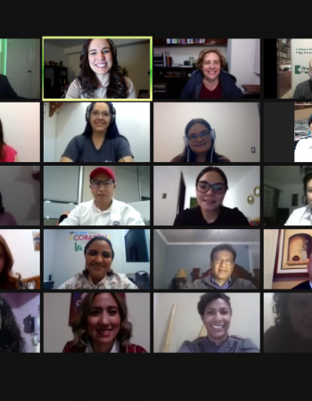 Curso Tele-trabajo efectivo